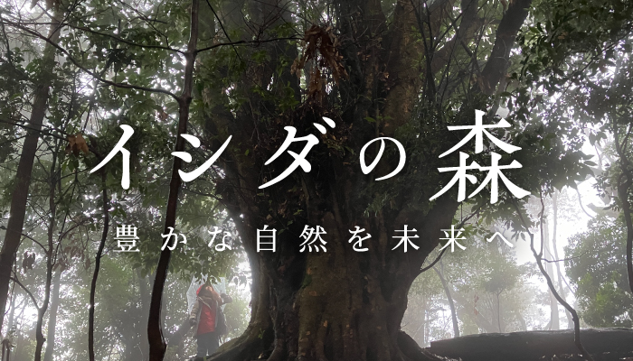 ishidanomori_banner_700-400_240724_ol
