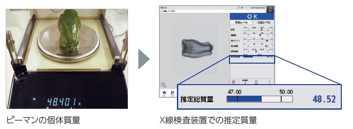 suiteisitsuryou 推定質量機能