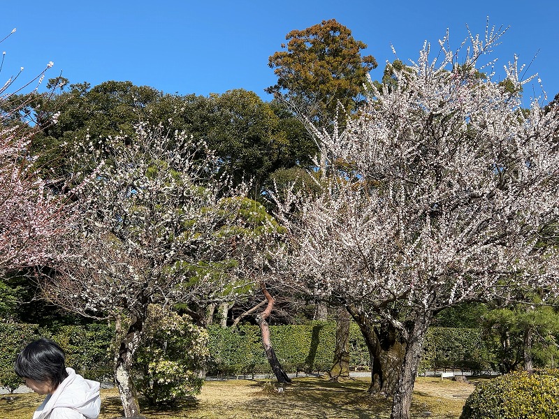 伊勢神宮２